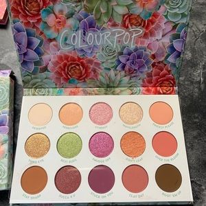 color pop garden variety makeup pallet